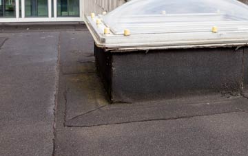 disadvantages of Trelan flat roofs