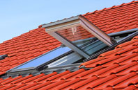 Trelan roof window